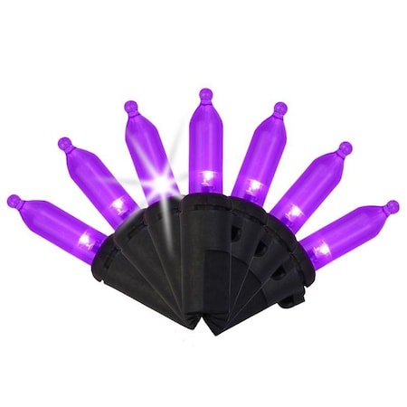 Celebrations Celebrations Purple 100 ct LED Mini Halloween String Lights T5100PLS3A